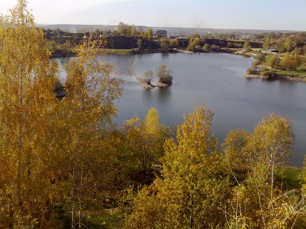 Пруд, вид сверху