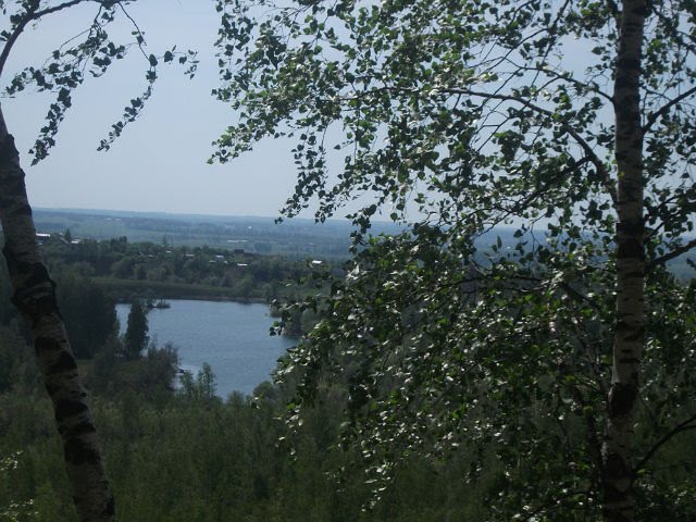 Вид на дачи.