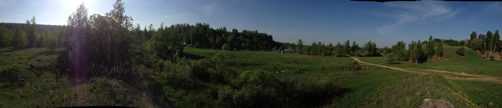 Барсуки 2013