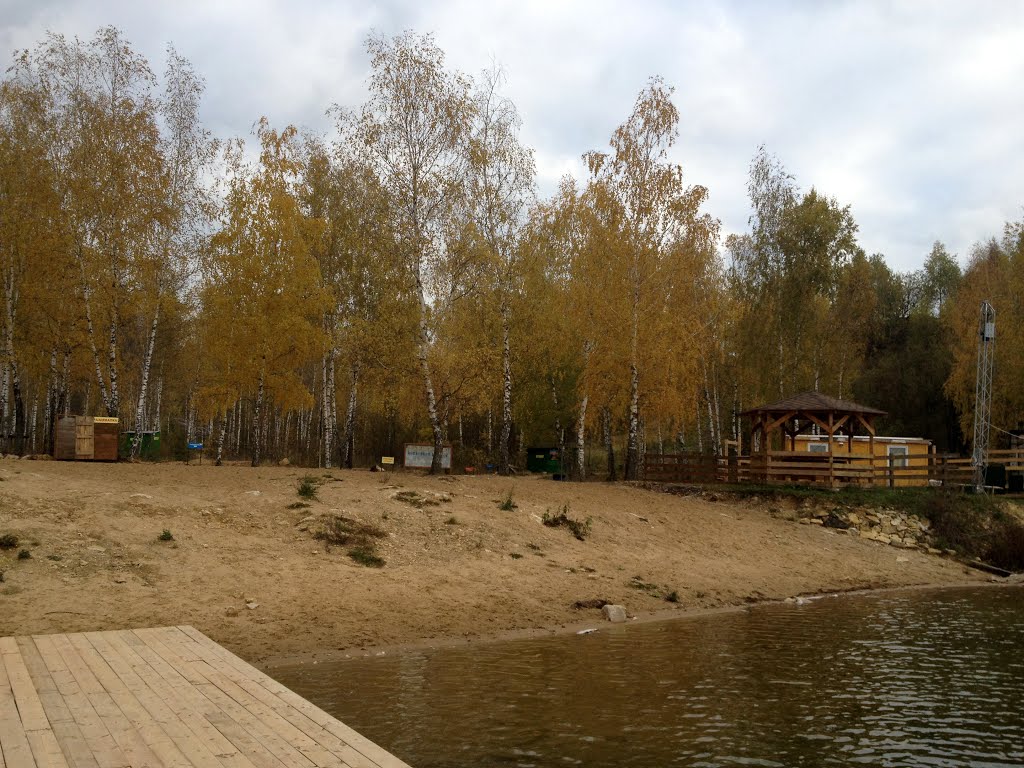 Барсуки 05.10.2013