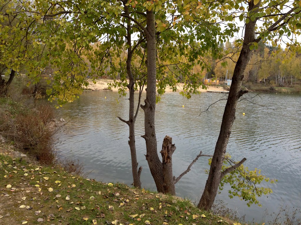 Барсуки 05.10.2013