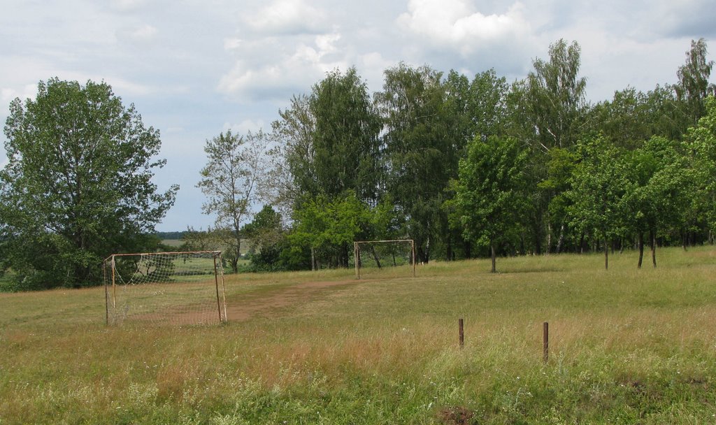 The stadium in Begichevsky village