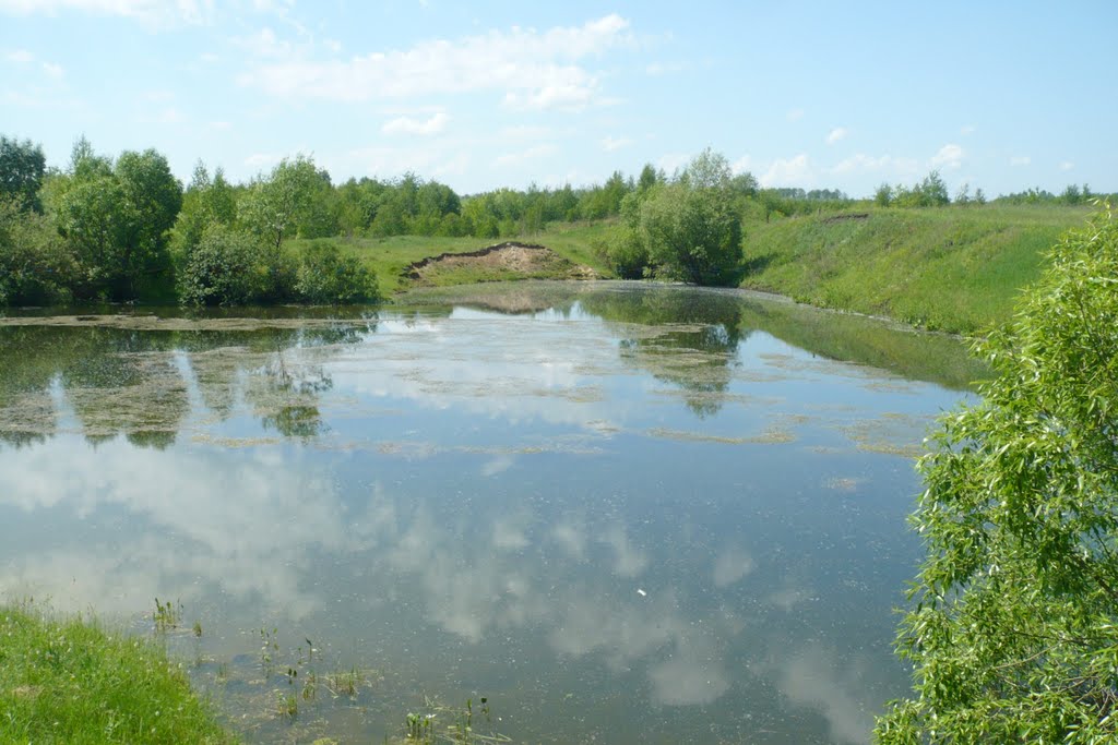 Пруд при п. Бегичевский.