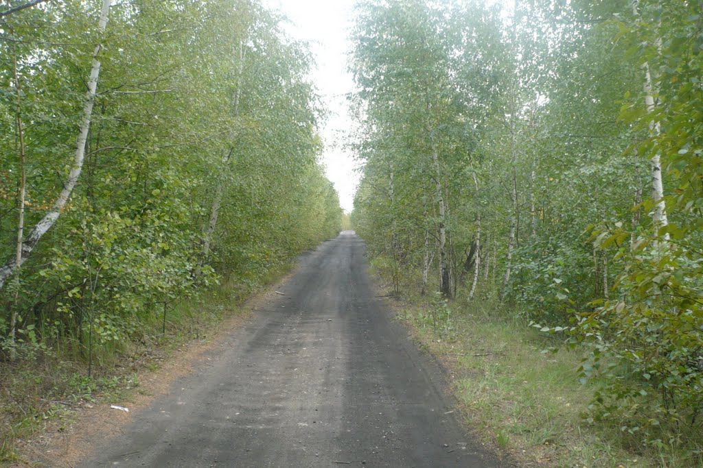 Дорога к шахте.