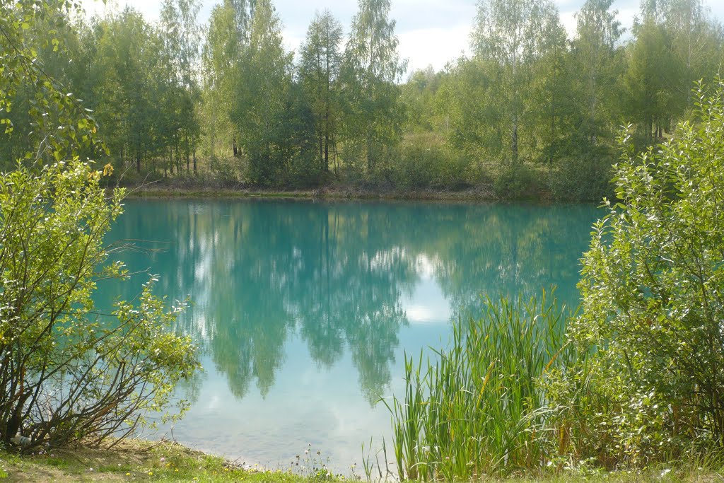 Лесное озеро.