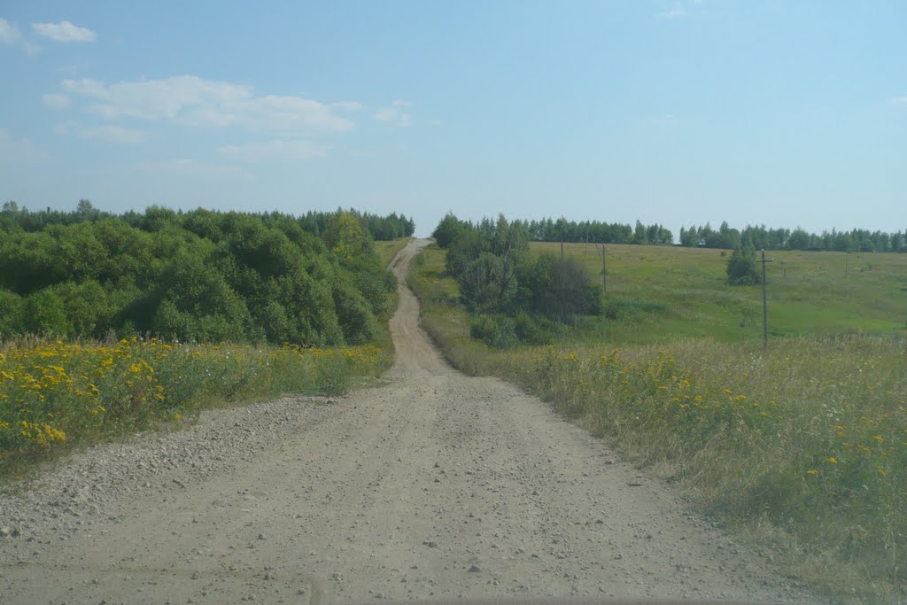 В сторону подстанции.