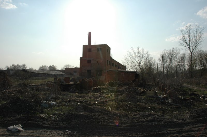 Бойня в городе Богородицк