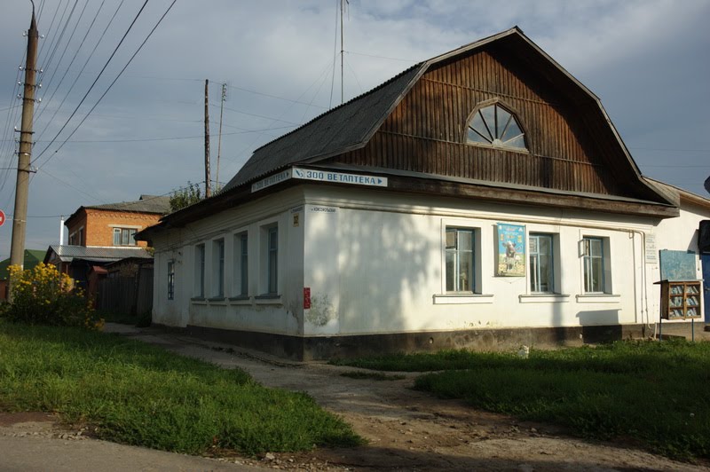 Дом зоолавка
