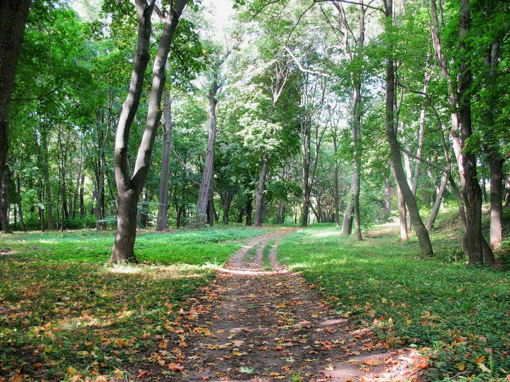 Богородицк