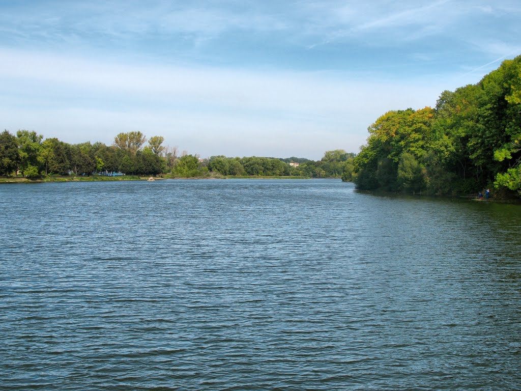 Богородицк 8