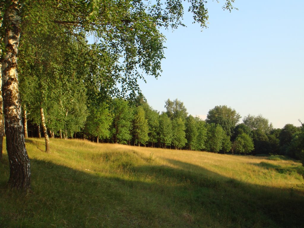Цецерова роща