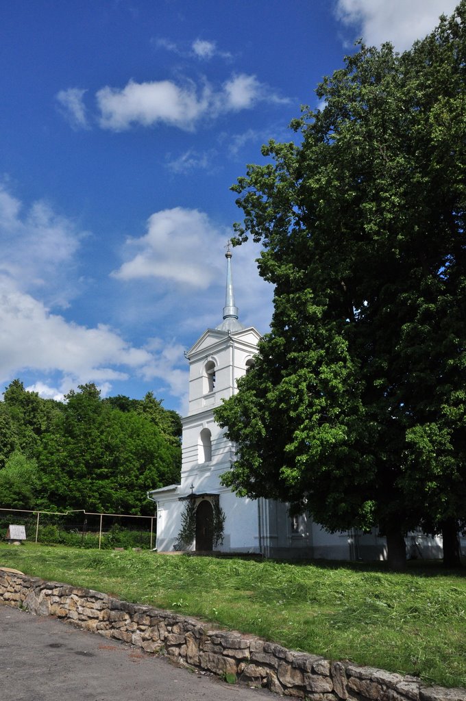 Церковь деревни Велигож Village Veligozh church