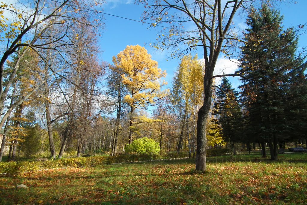 парк  санатория