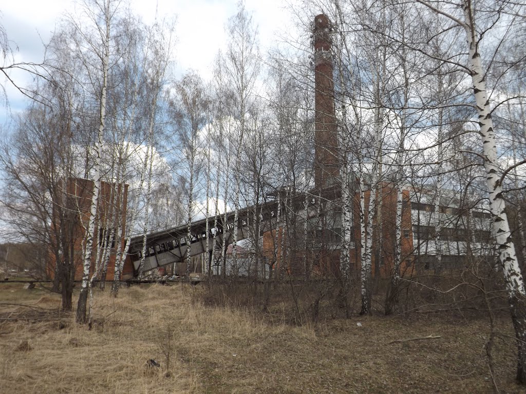 Венев