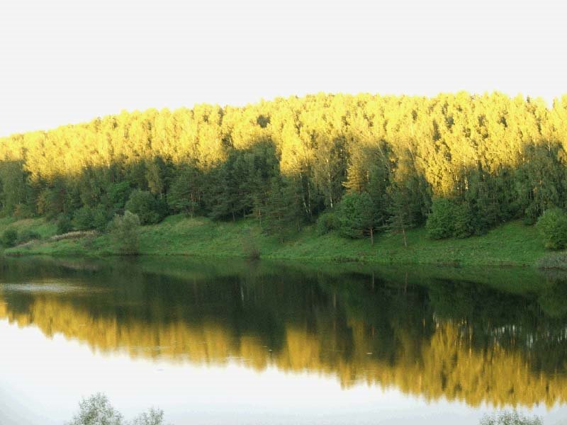 venevka