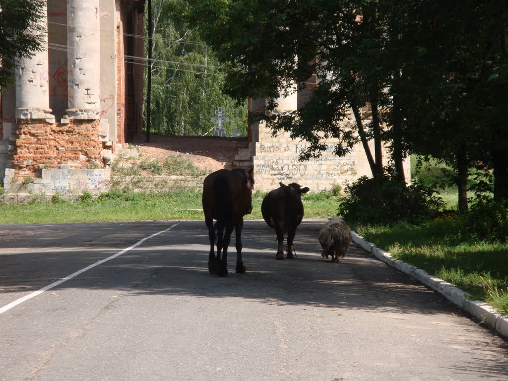 на улицах Венева