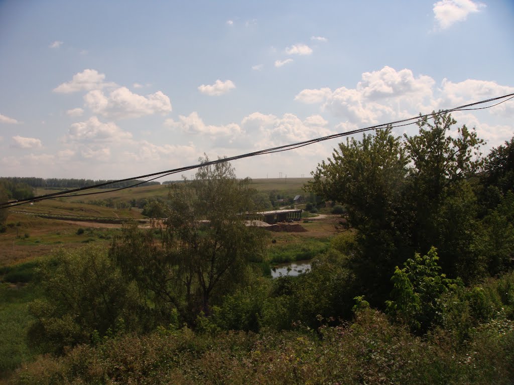 зелень