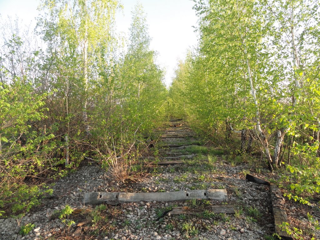 Волово