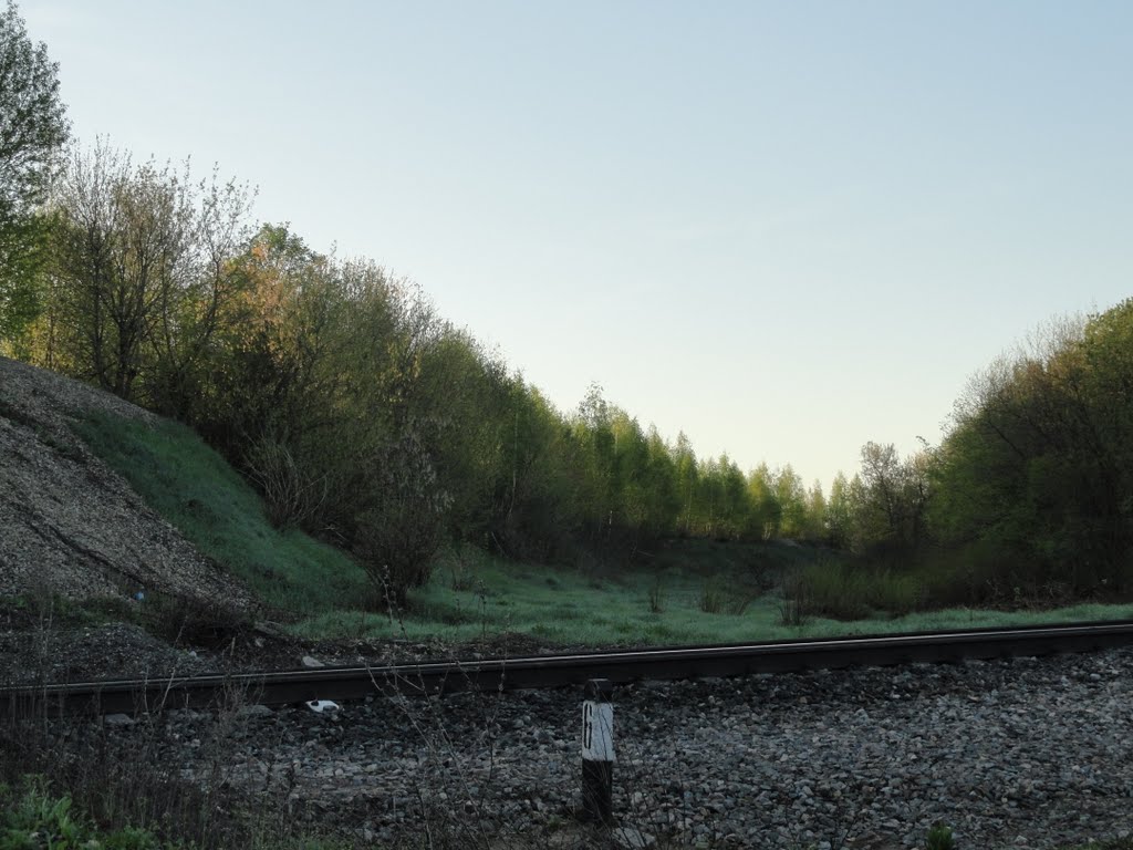 Воловский район, Тульская область