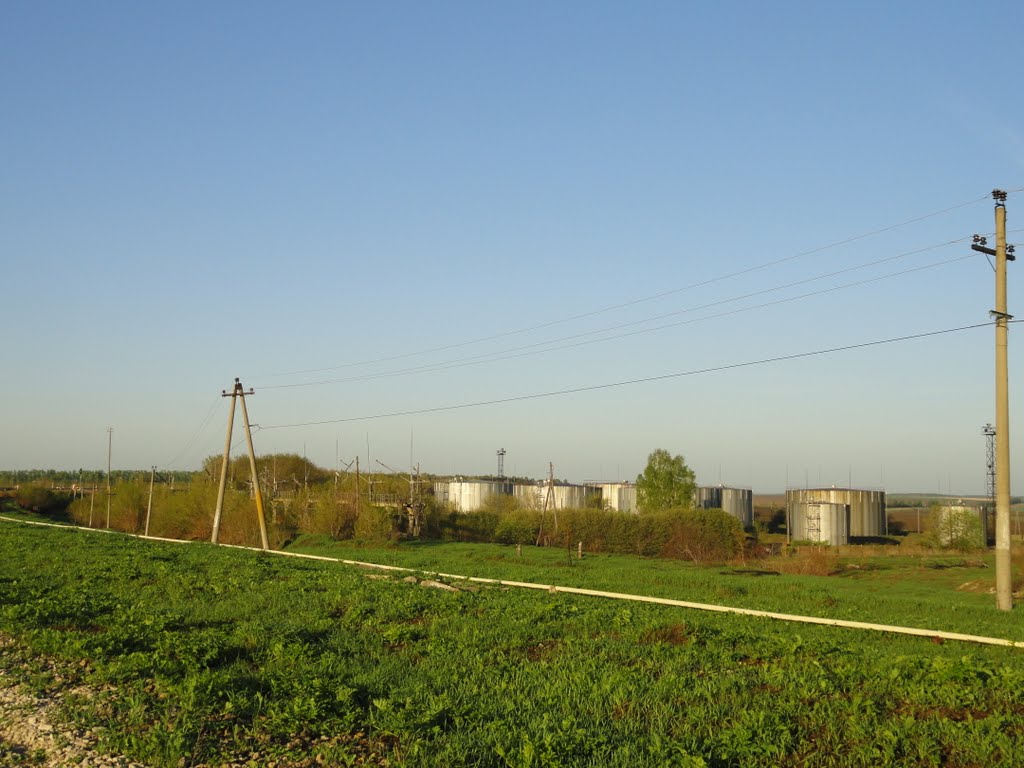 Волово