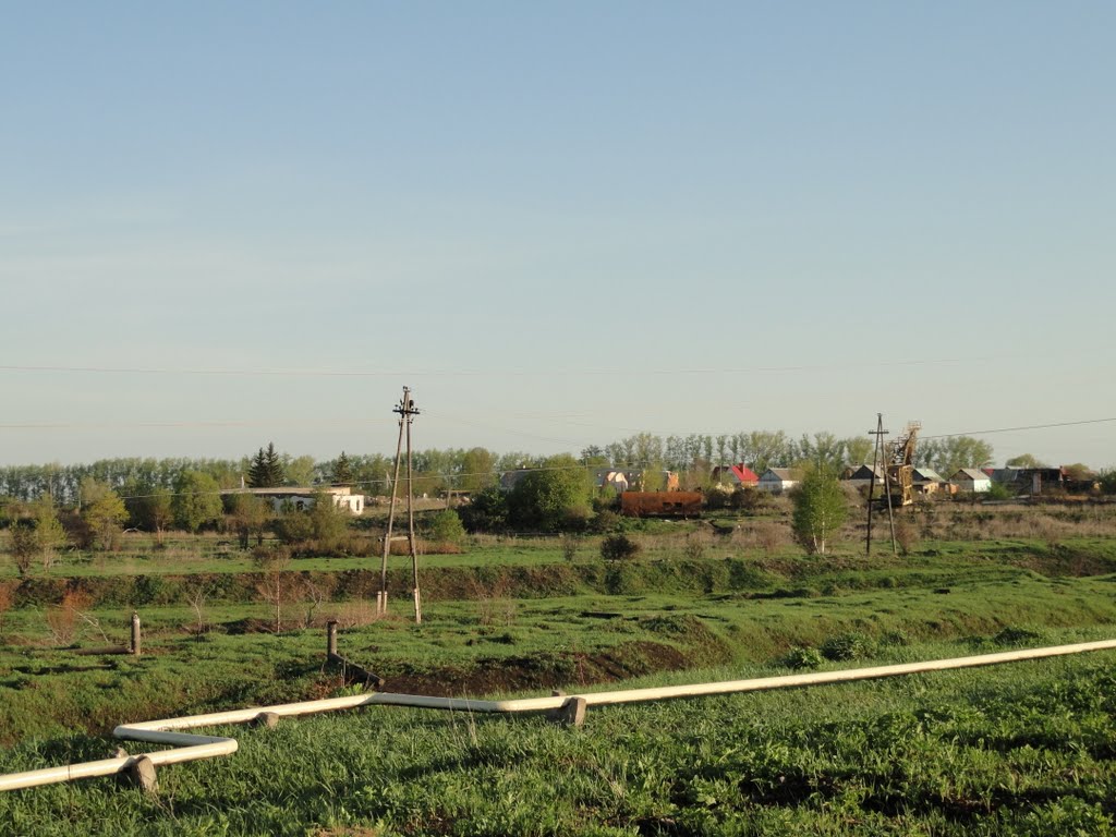 Волово