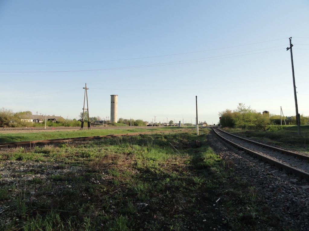 Волово