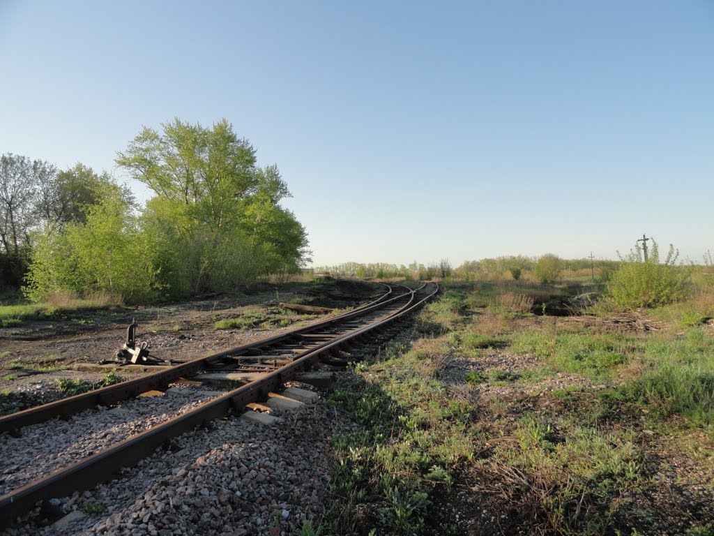Волово