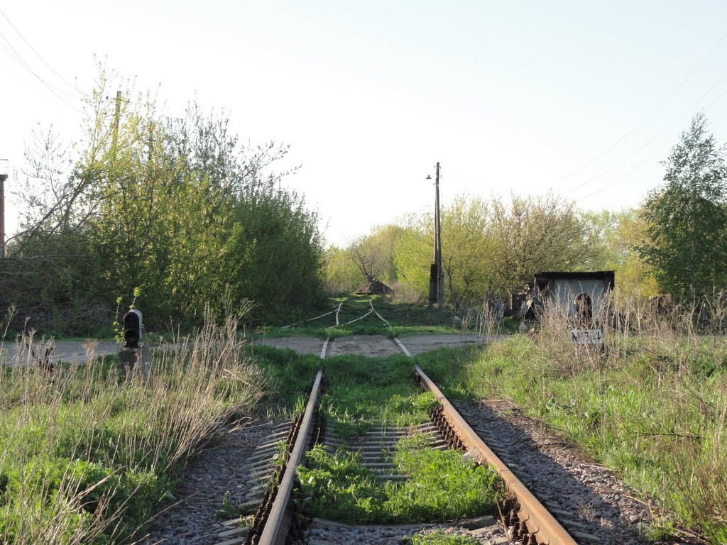 Волово