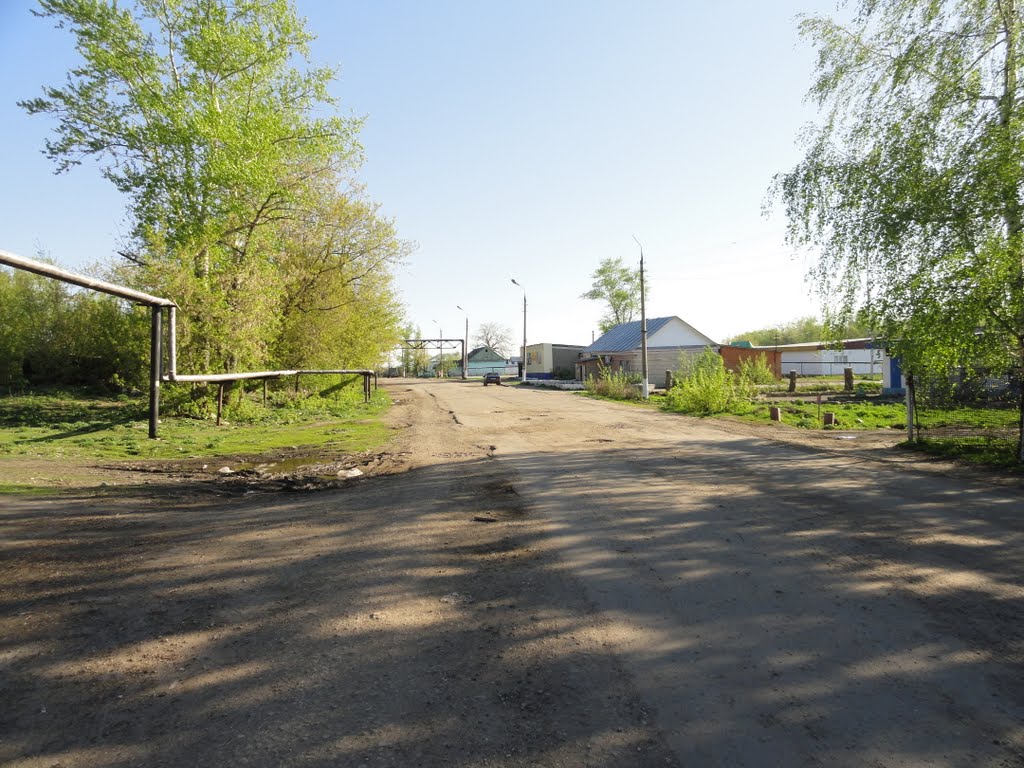 Волово