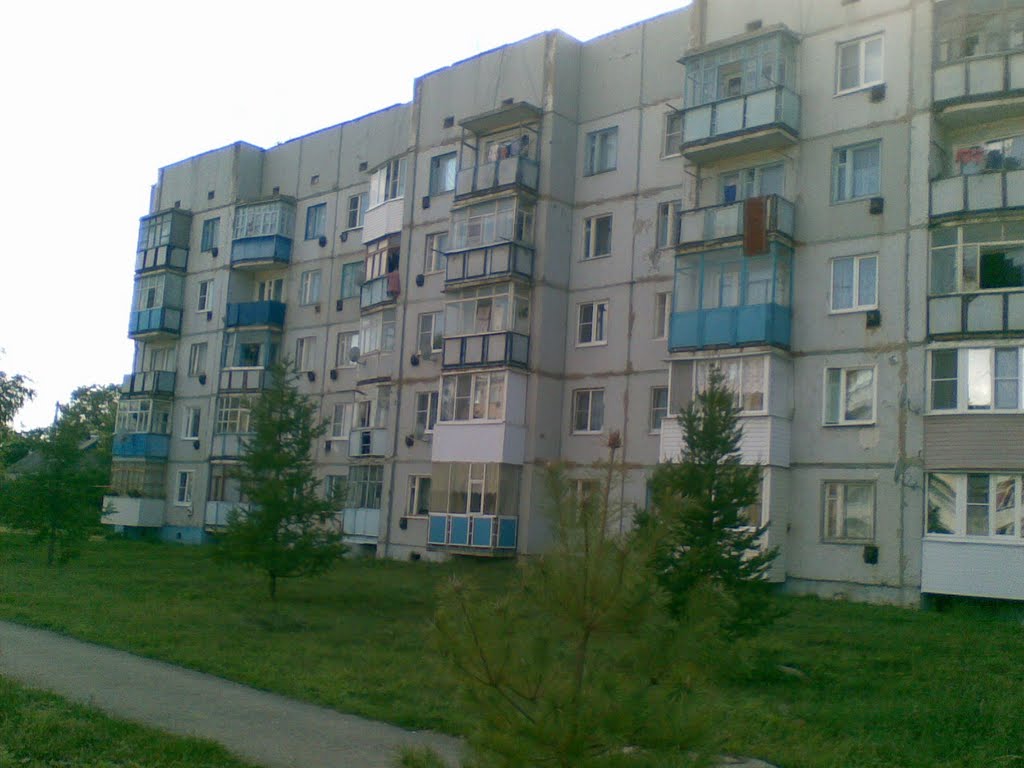 Дом на "болоте"