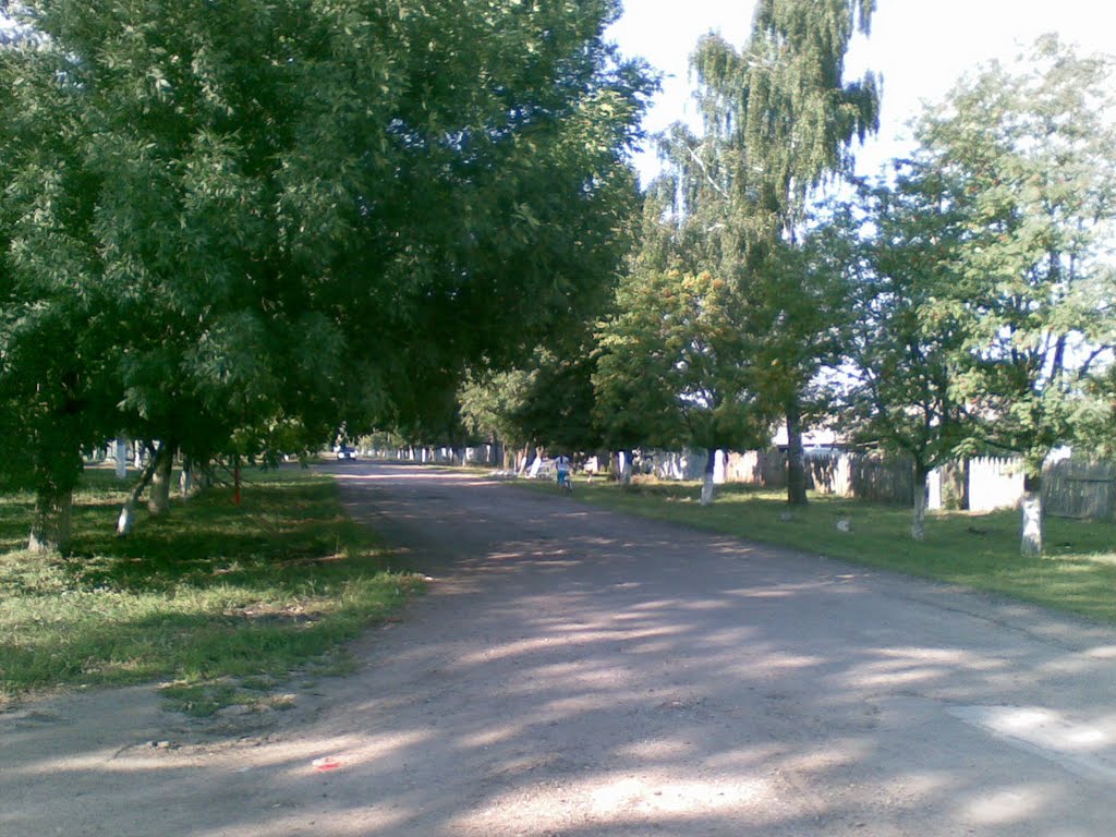 Вид на улицу 30 лет победы