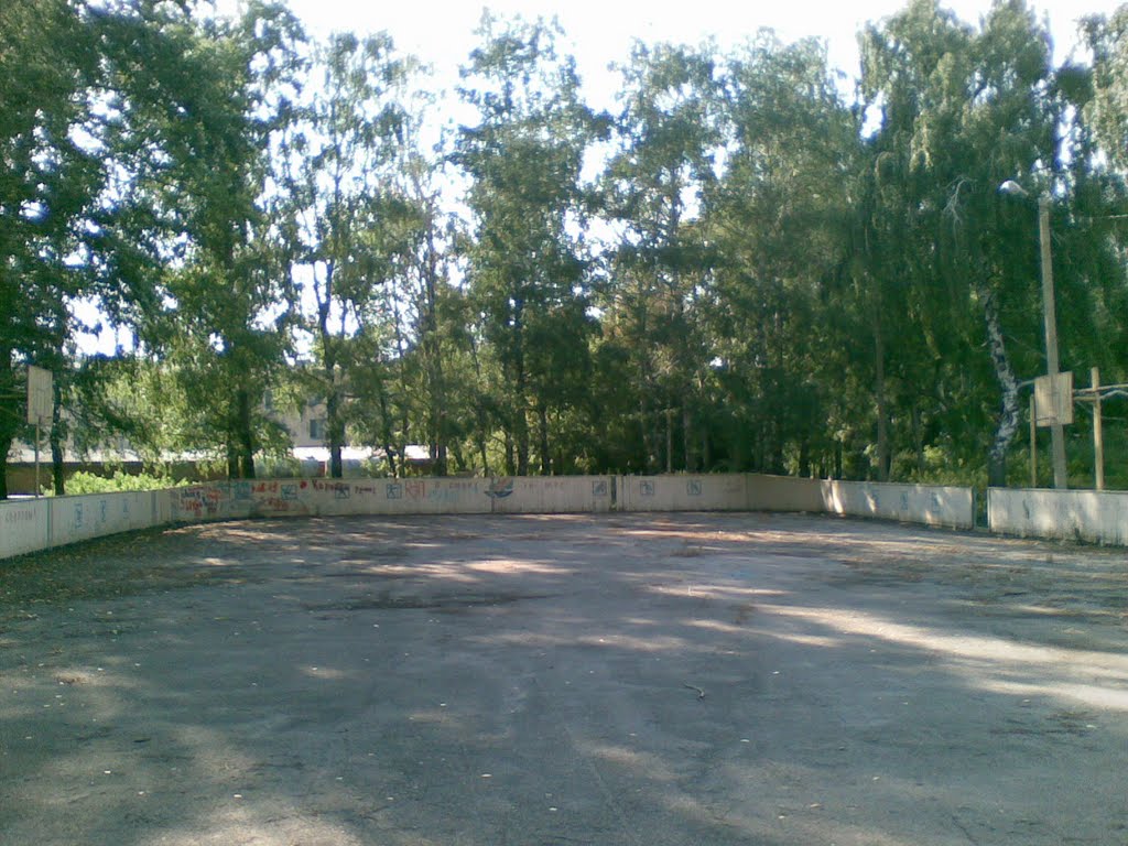 Хоккейная коробка