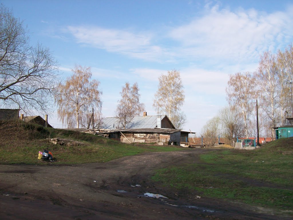 Волово. Сельская жизнь