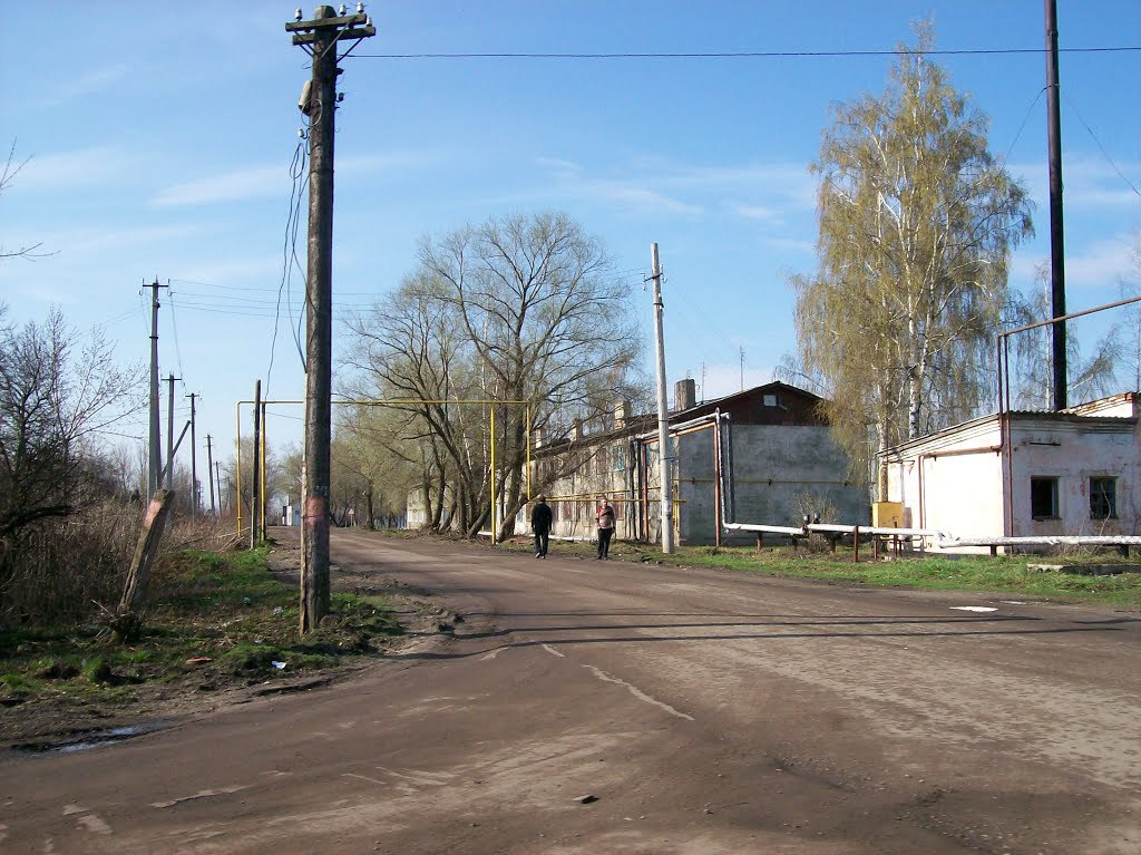 Волово. Улица
