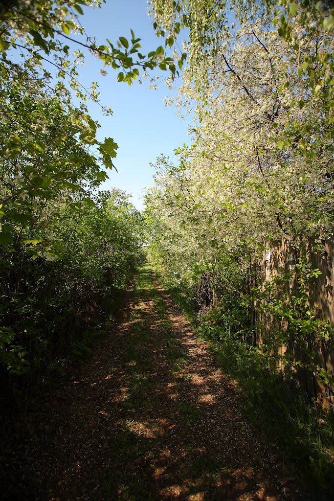 Горелки