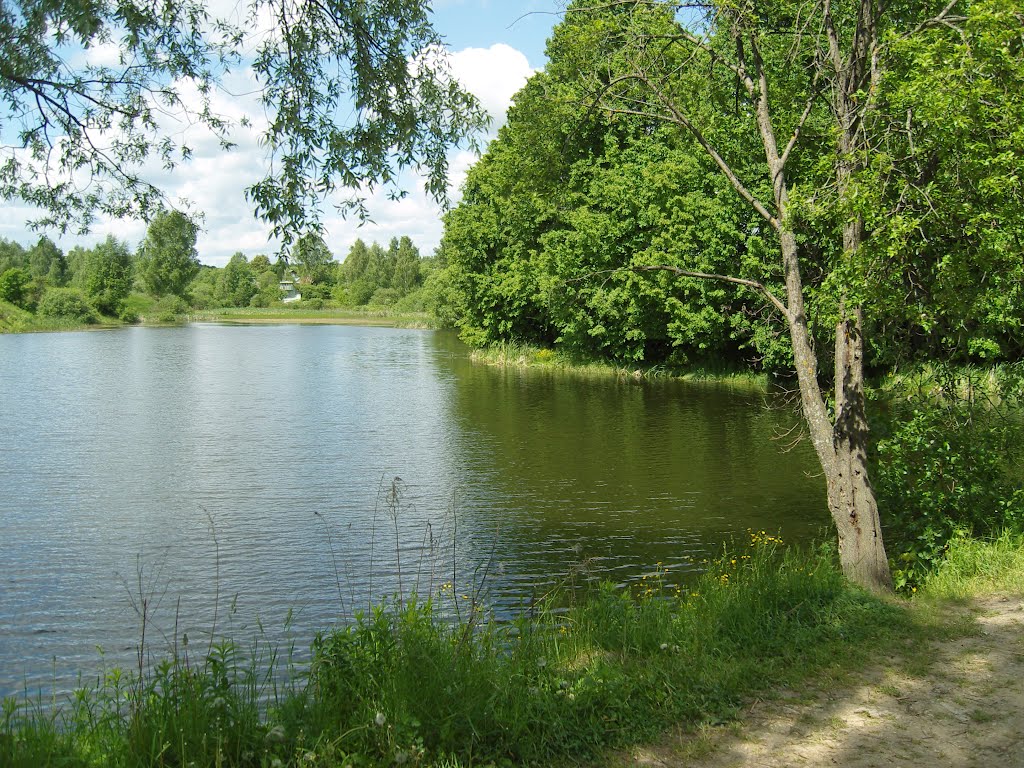Хомяковские поляны