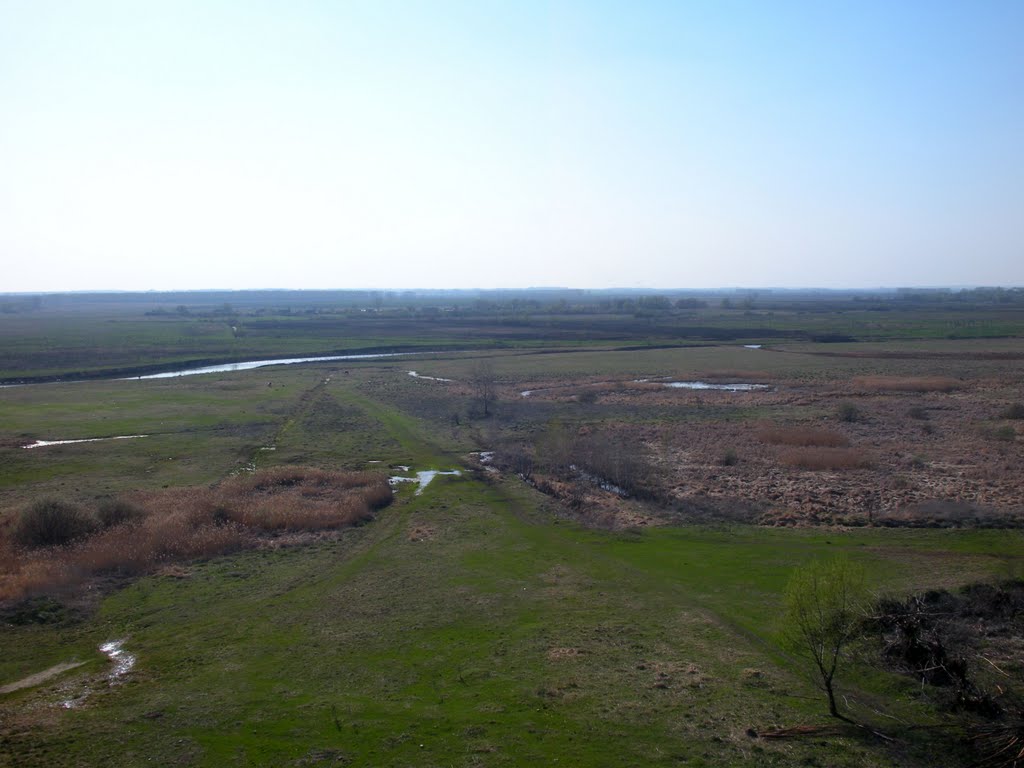 Вид на "пойму" р.Дон с Федосьина городища.