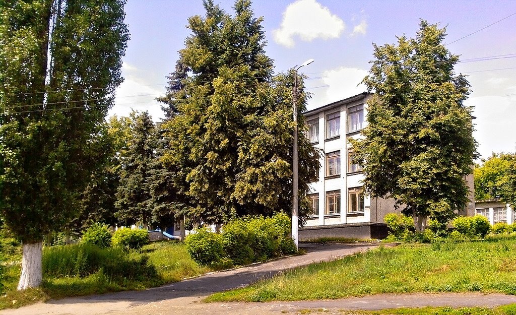9 школа