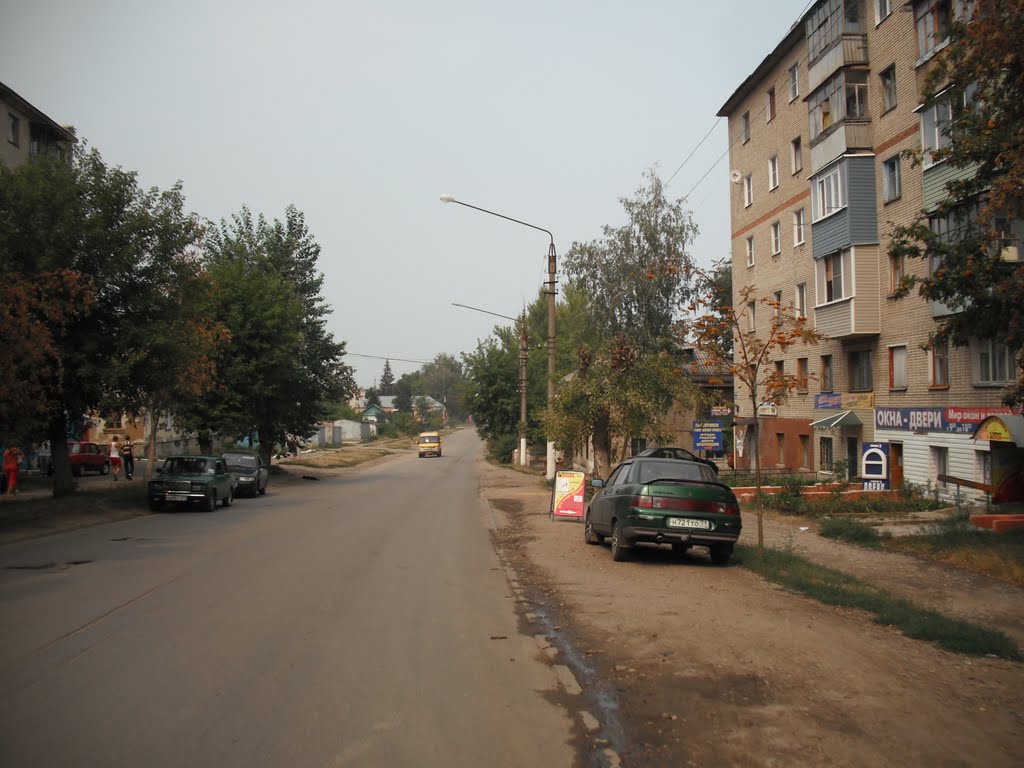 Ефремов ул.  Свердлова