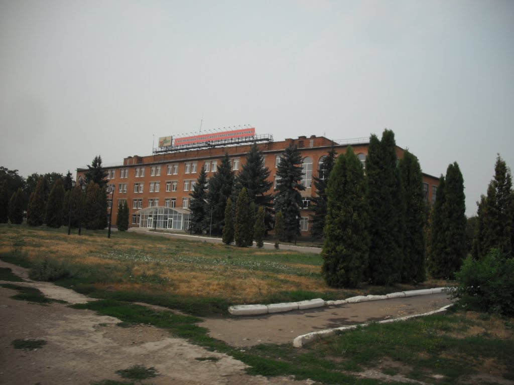 Ефремов.  Завод синтетического каучука