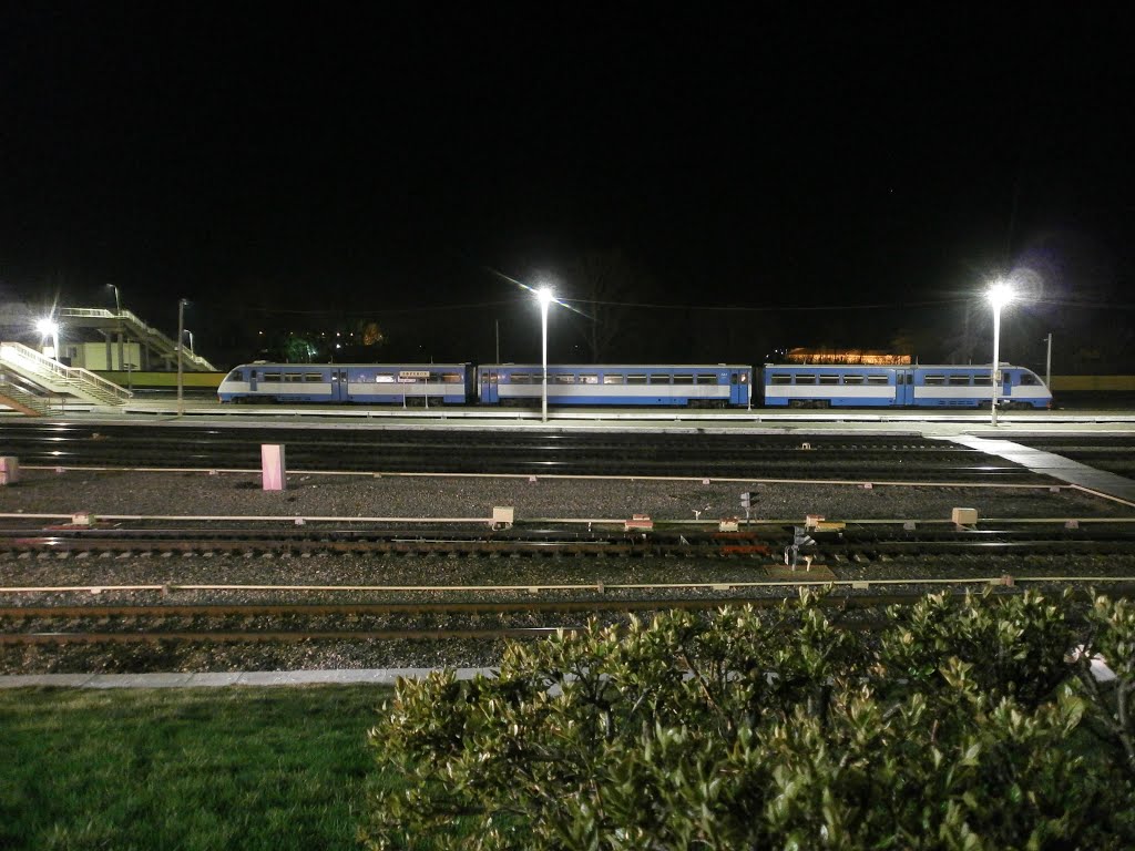 Rail bus at the Efremov railroad station