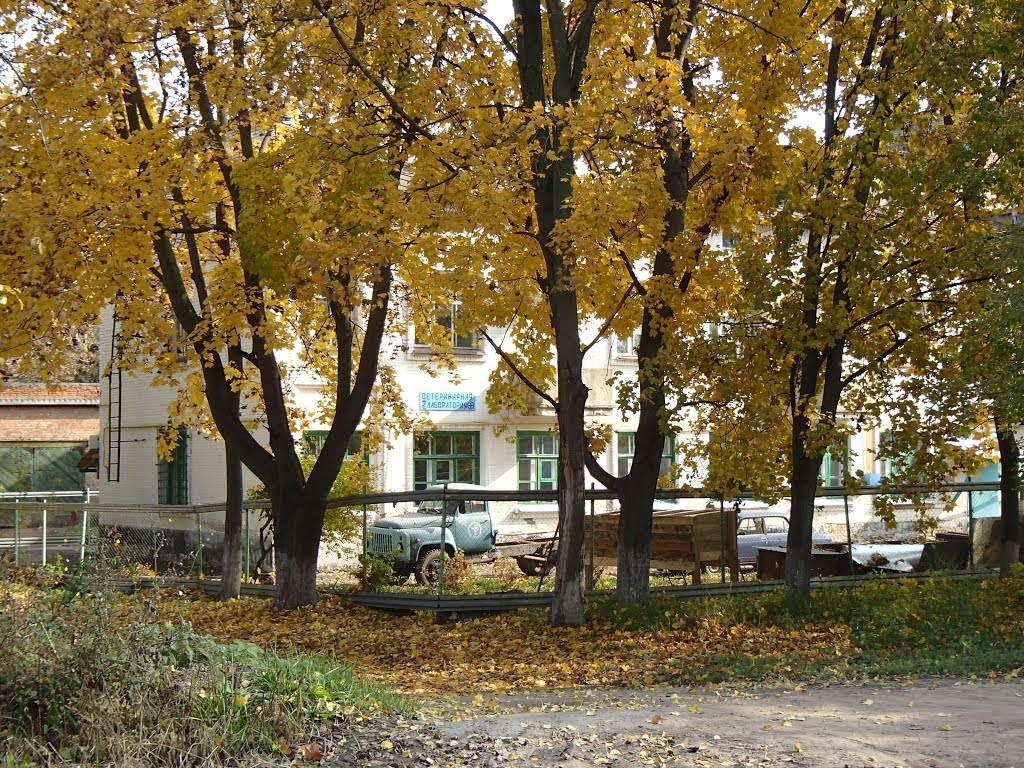 Ветеринарная лаборатория