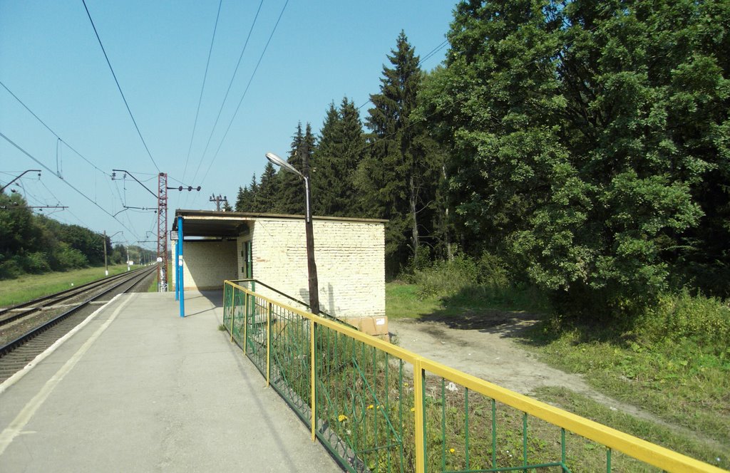 Платформа 132 км.