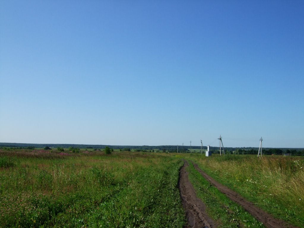 Полевая дорога