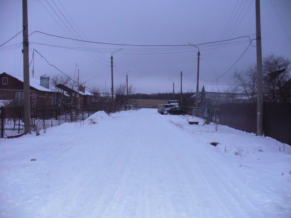 Улица в снегу канун 2009г.