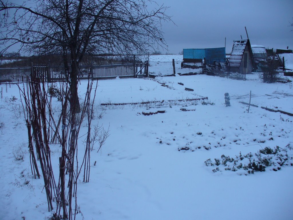 огород зимой