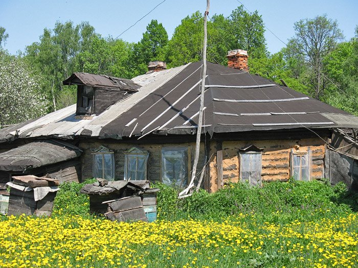 House of beekeeper. Пасека