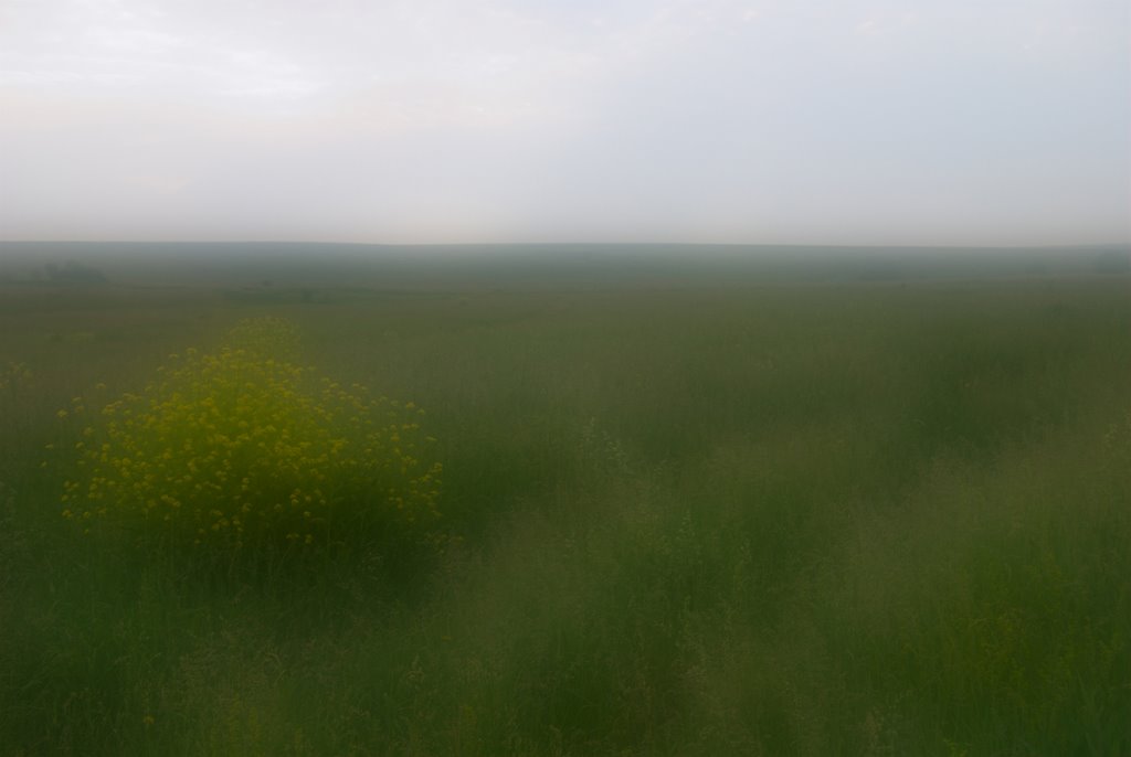 Morning/Утро