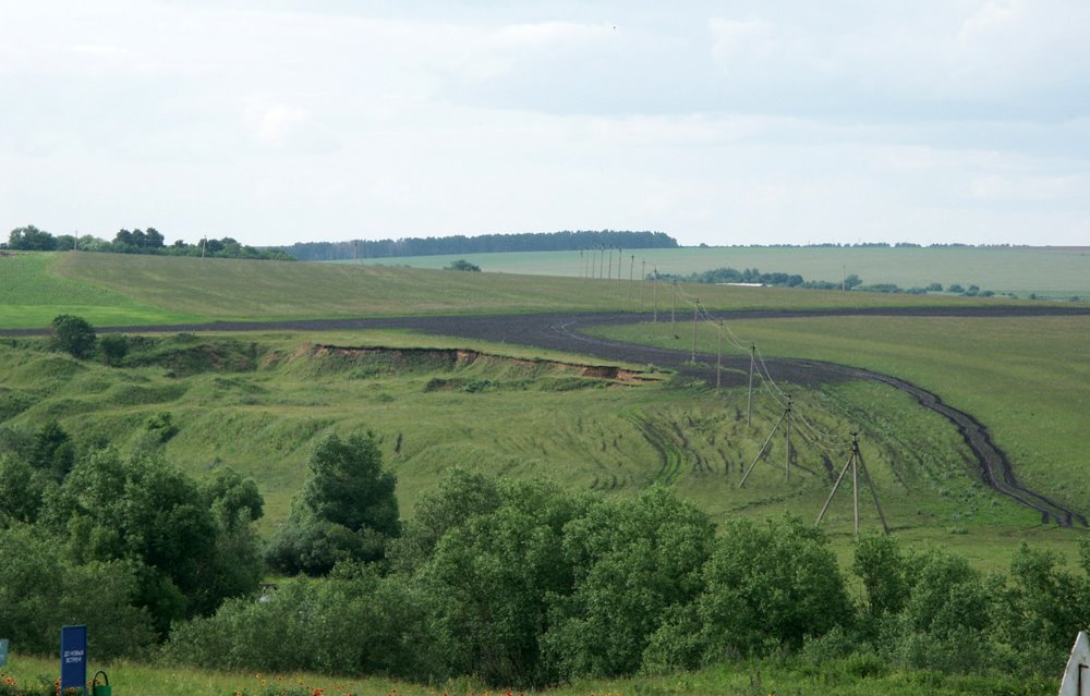 Battle of Kulikovo - Куликово поле