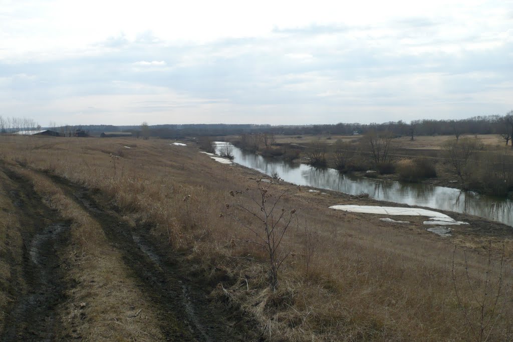 Панорама р. Дон в д. Муравлянка.